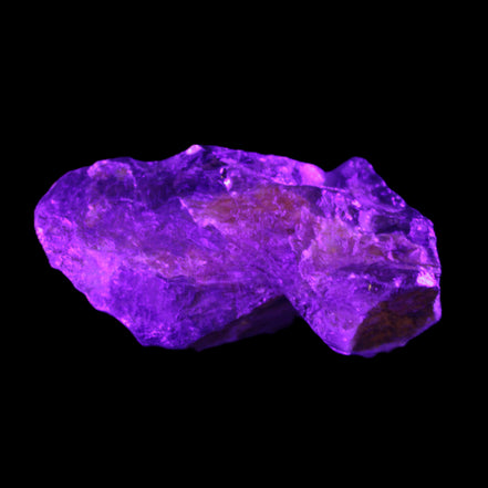 Dark Fenster Smoky Quartz 62g in UV light - Rocks and Things Store