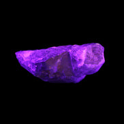 Dark Fenster Smoky Quartz 62g in UV light - Rocks and Things Store