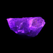 Dark Fenster Smoky Quartz 62g in UV light - Rocks and Things Store