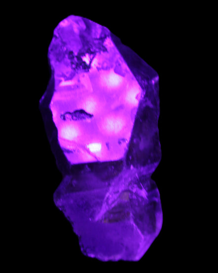 Dark Fenster Smoky Quartz 62g in UV light - Rocks and Things Store