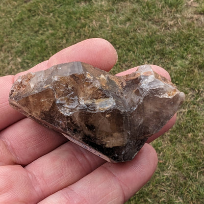 Fenster skeletal Smoky Quartz 62g Rocks and Things