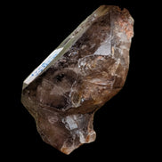 Dark Fenster Smoky Quartz 62g in sunlight - Rocks and Things Store