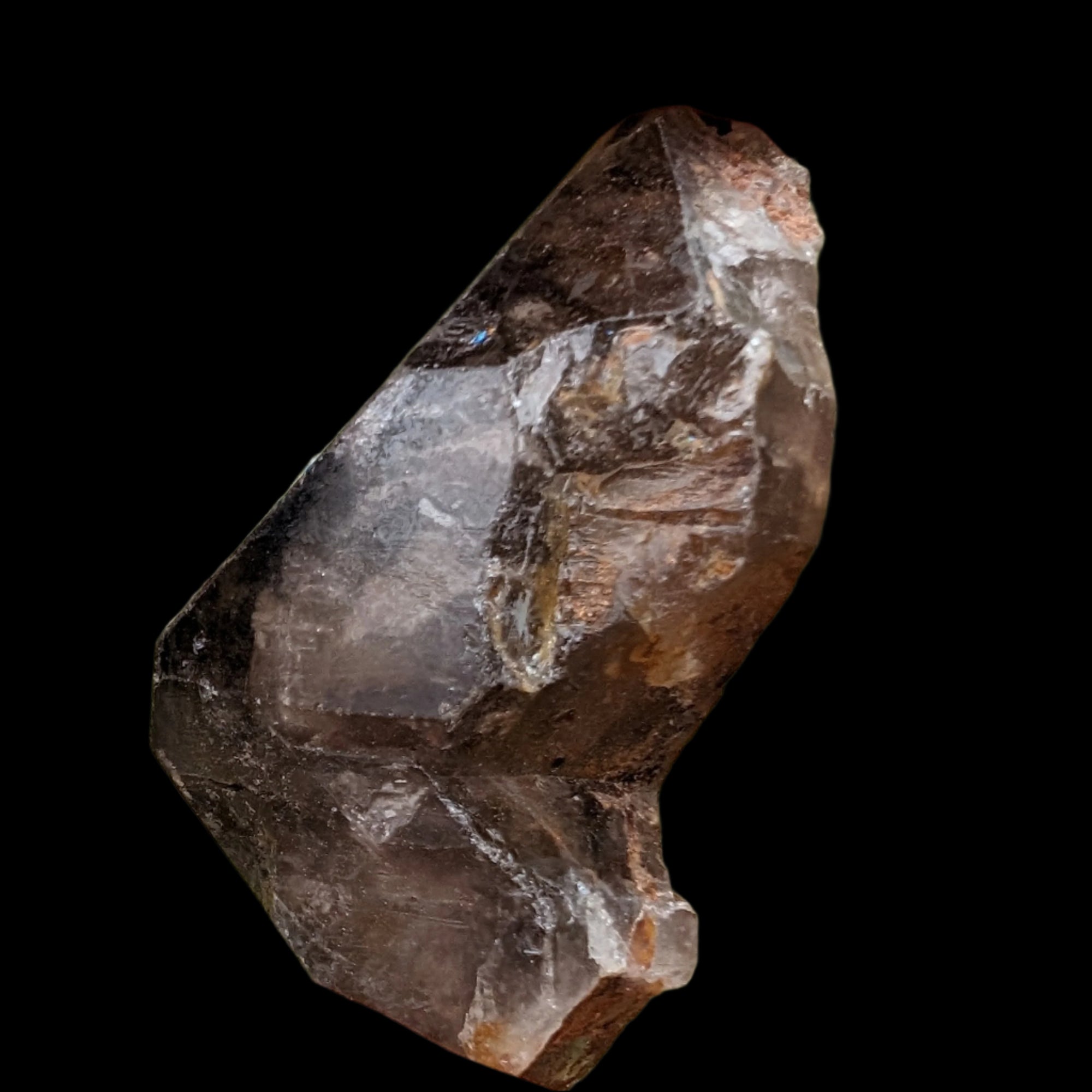 Dark Fenster Smoky Quartz 62g in sunlight - Rocks and Things Store