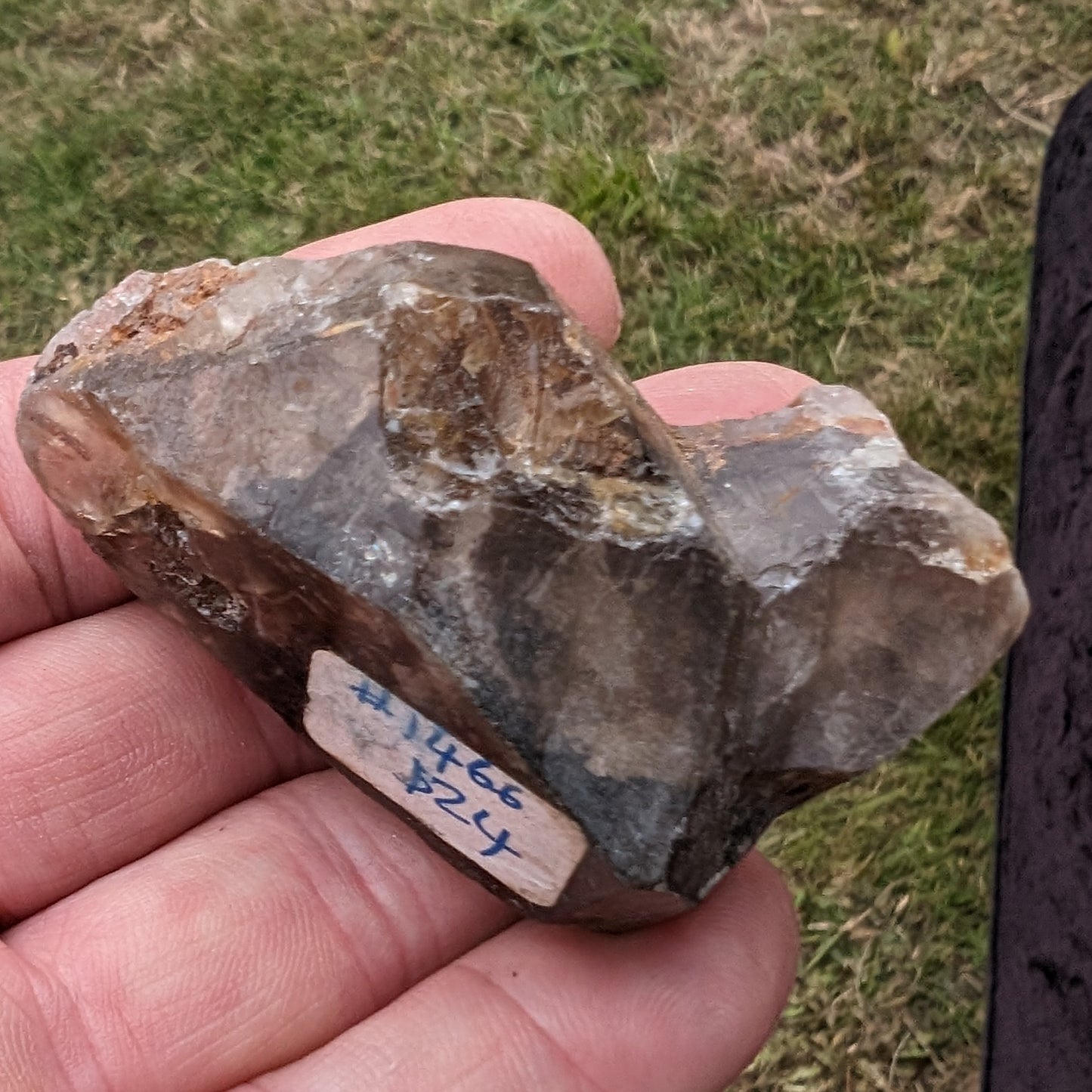 Fenster skeletal Smoky Quartz 62g Rocks and Things