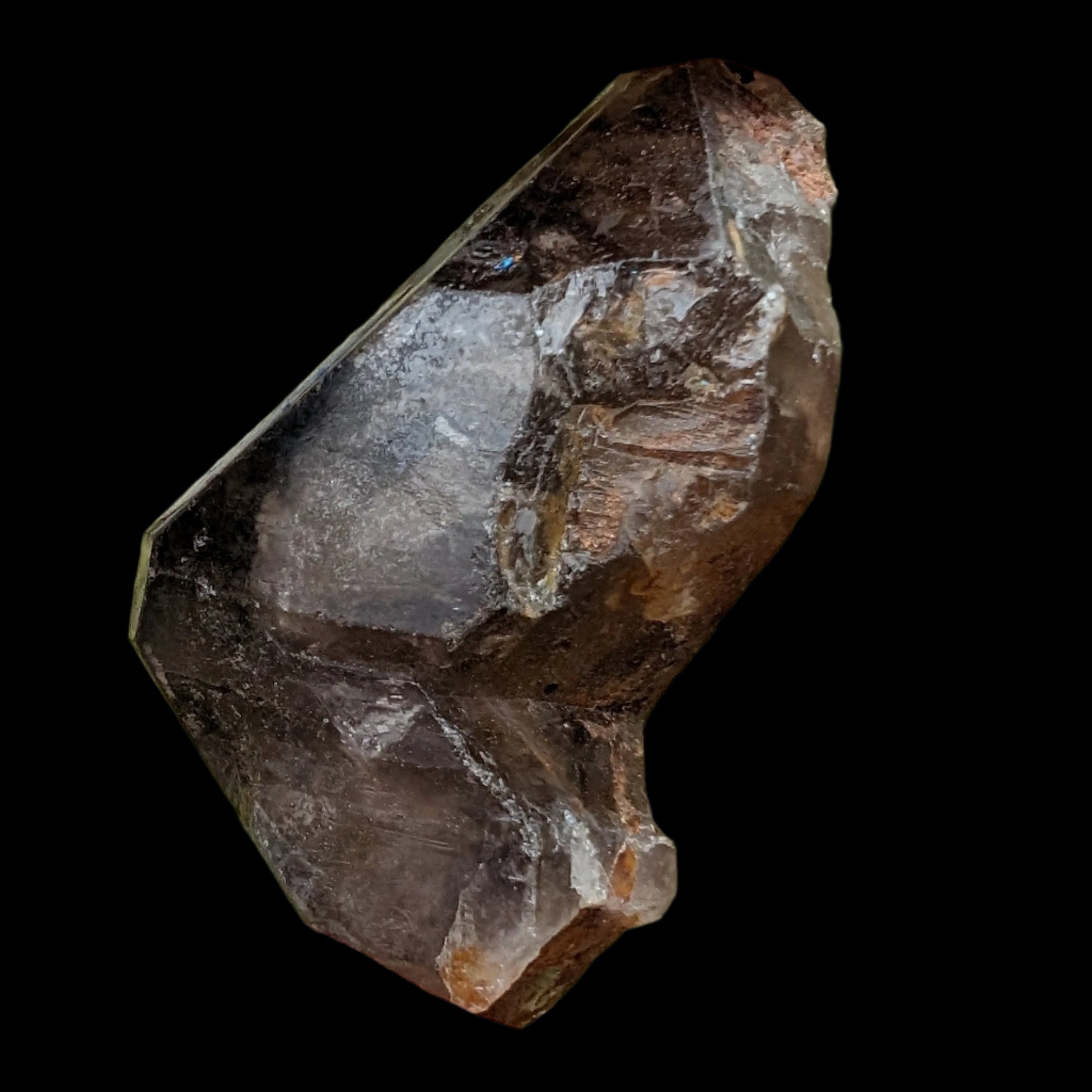Dark Fenster Smoky Quartz 62g in sunlight - Rocks and Things Store