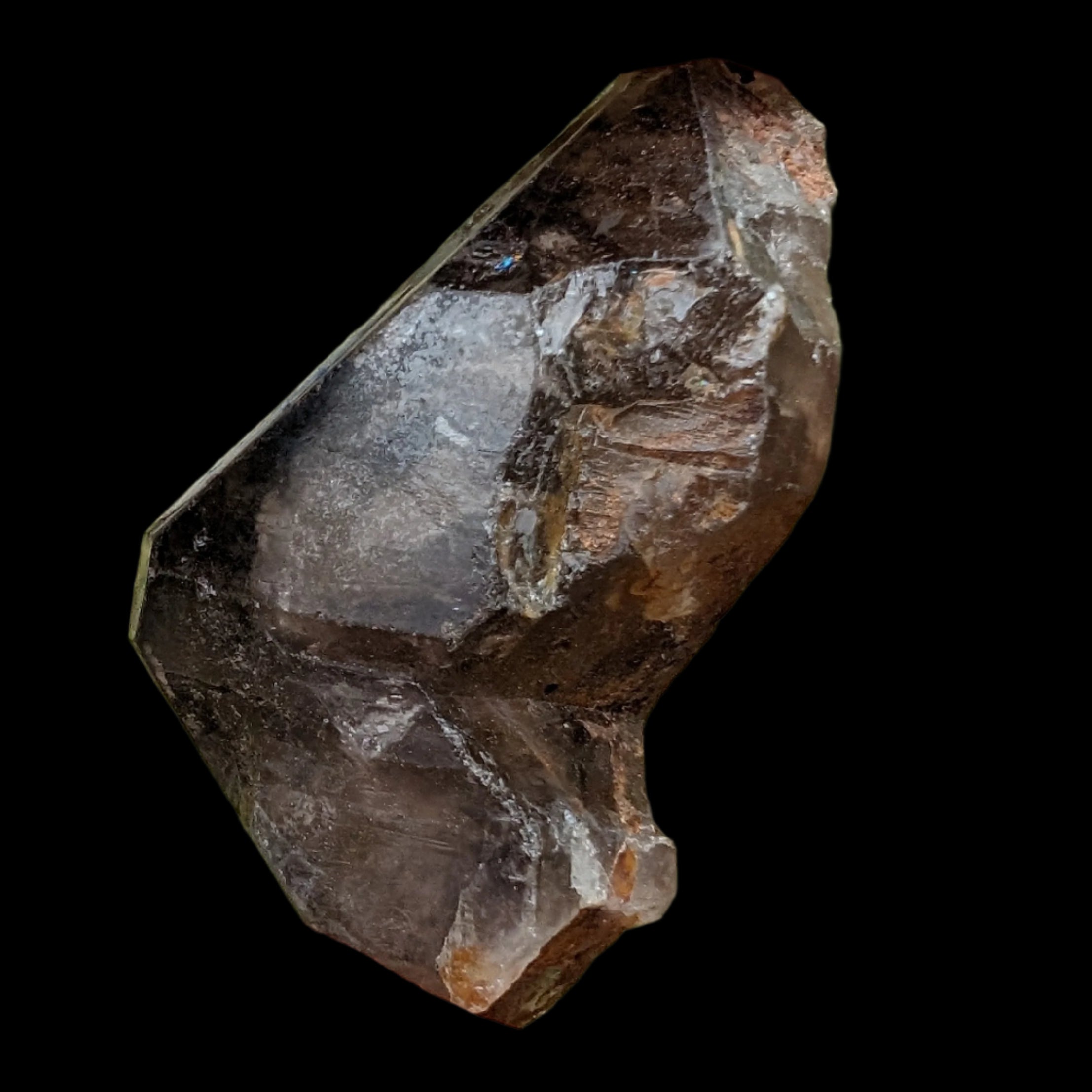 Dark Fenster Smoky Quartz 62g in sunlight - Rocks and Things Store