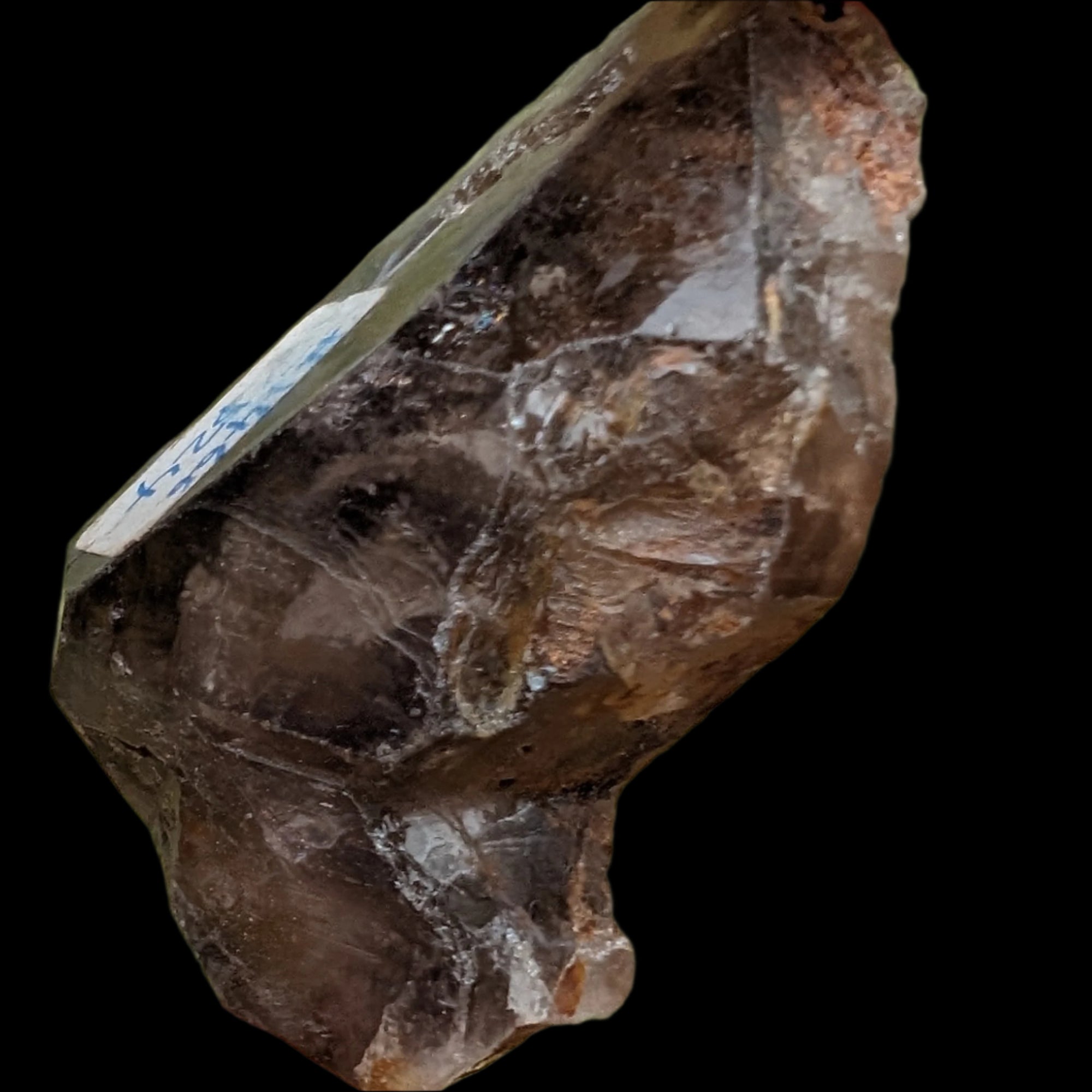 Dark Fenster Smoky Quartz 62g in sunlight - Rocks and Things Store