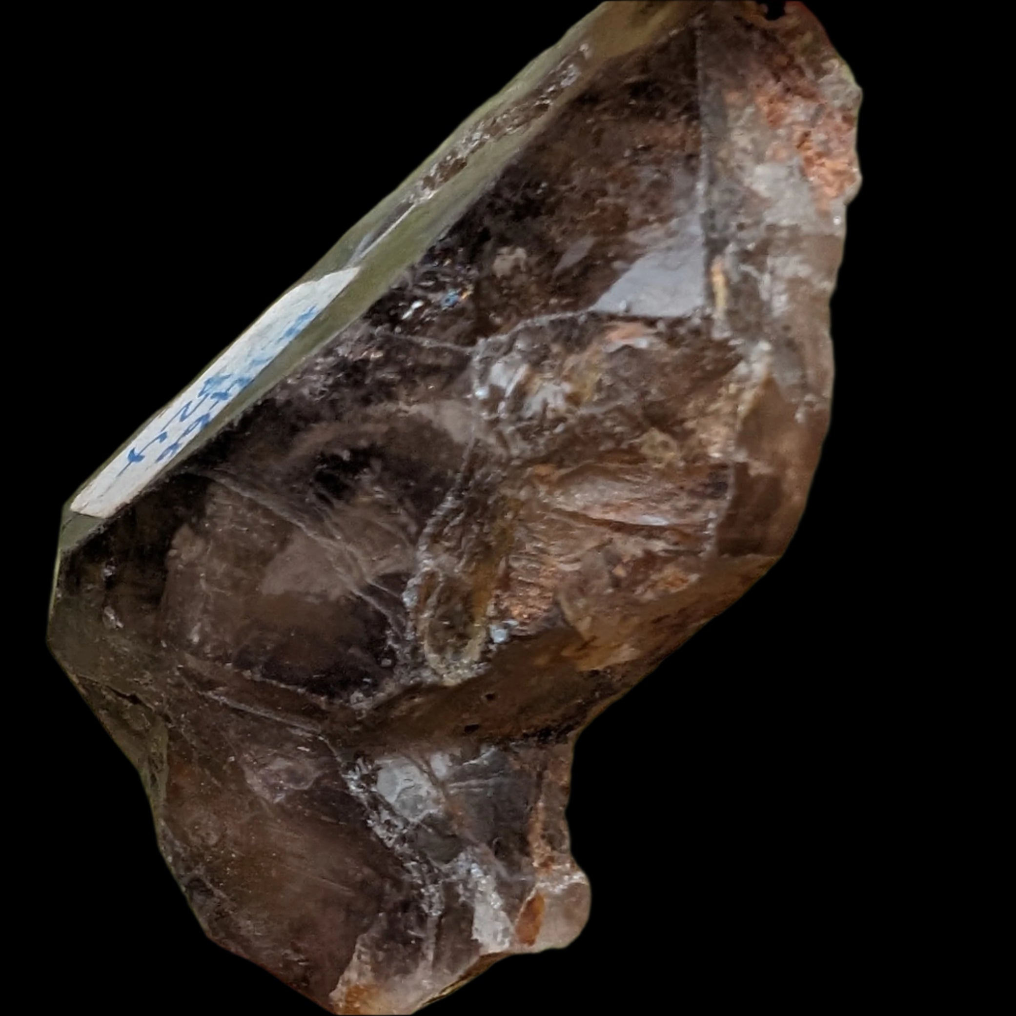 Dark Fenster Smoky Quartz 62g in sunlight - Rocks and Things Store