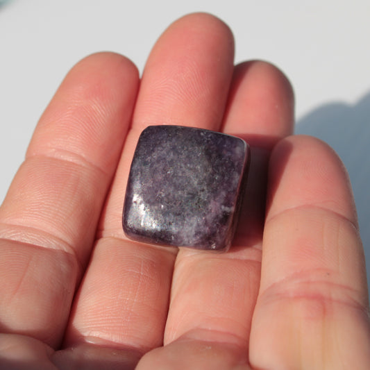 Lepidolite 20-25g Rocks and Things