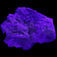 Floral Green Tourmaline with Elestial Quartz 57*56*24mm 75g in UV light - Rocks and Things Store