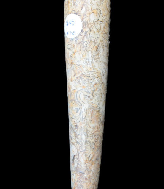 Dinosaur Bone Fossil massage wand from Madagascar 135/156g Rocks and Things