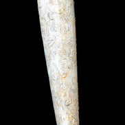 Dinosaur Bone Fossil massage wand from Madagascar 135/156g Rocks and Things