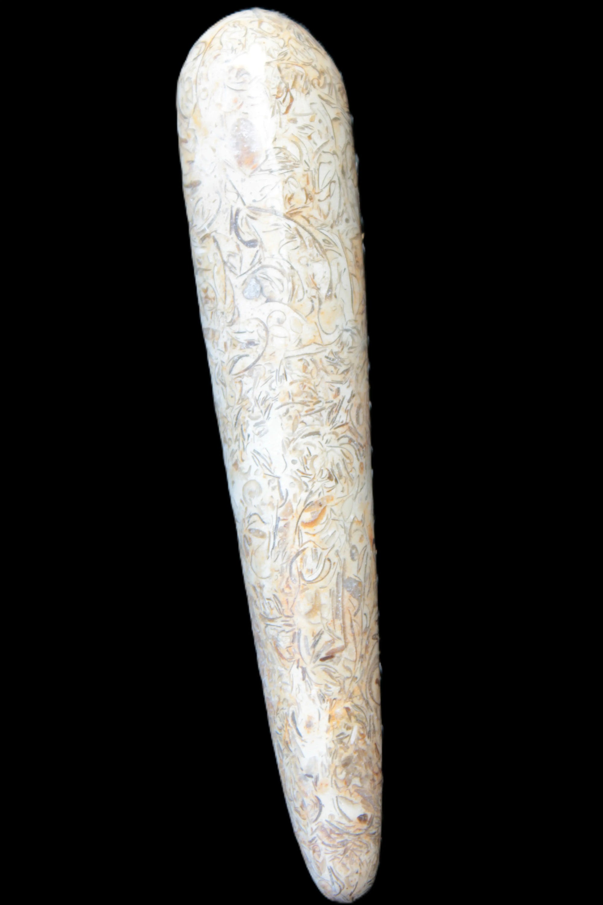 Dinosaur Bone Fossil massage wand from Madagascar 135/156g Rocks and Things
