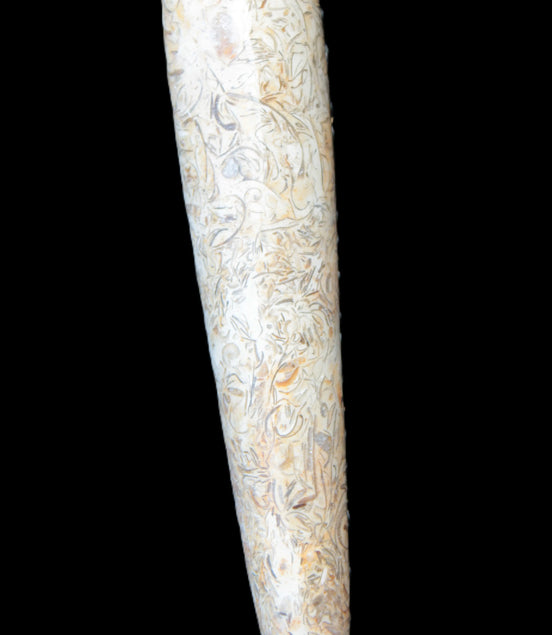Dinosaur Bone Fossil massage wand from Madagascar 135/156g Rocks and Things
