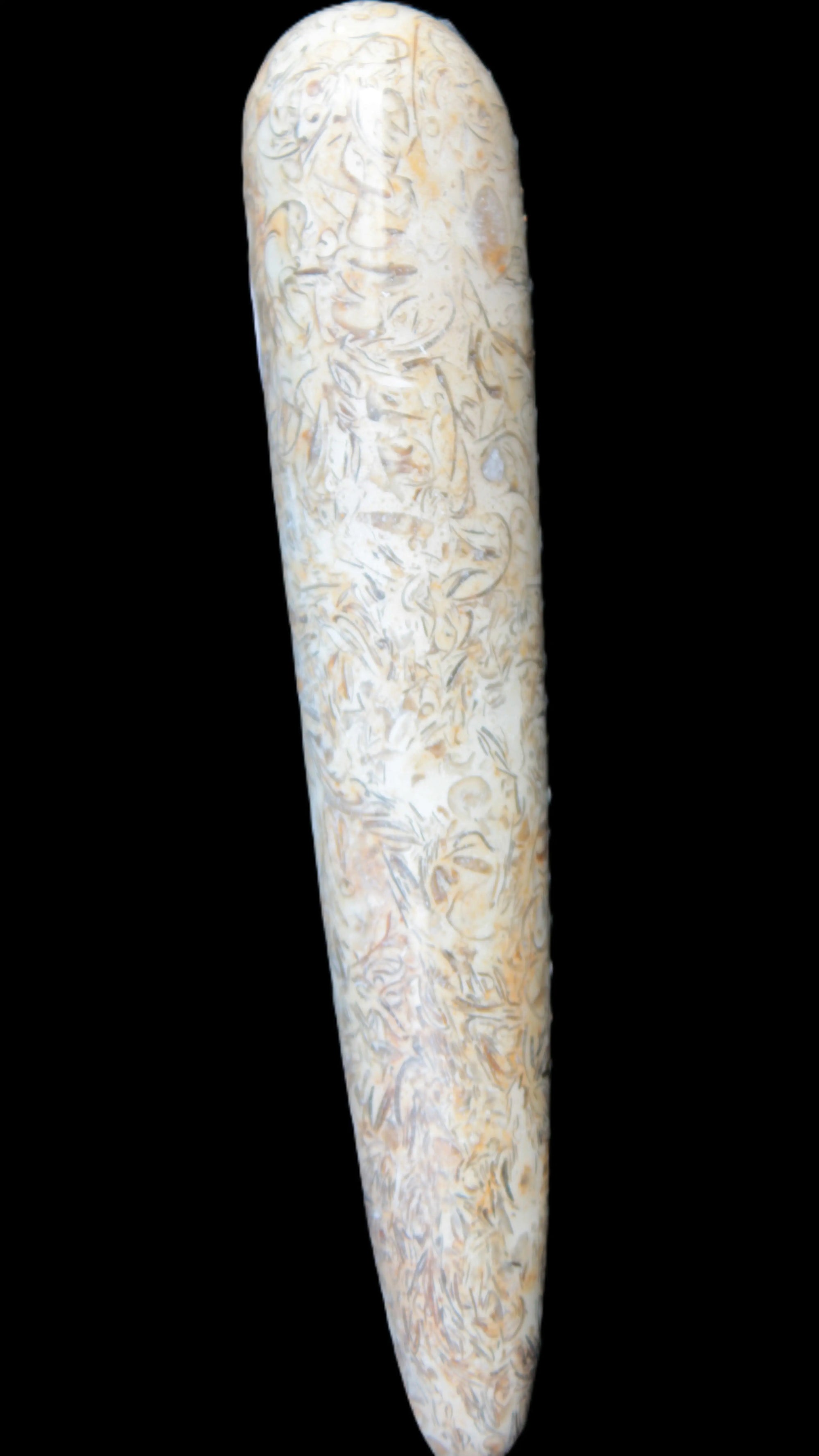 Dinosaur Bone Fossil massage wand from Madagascar 135/156g Rocks and Things