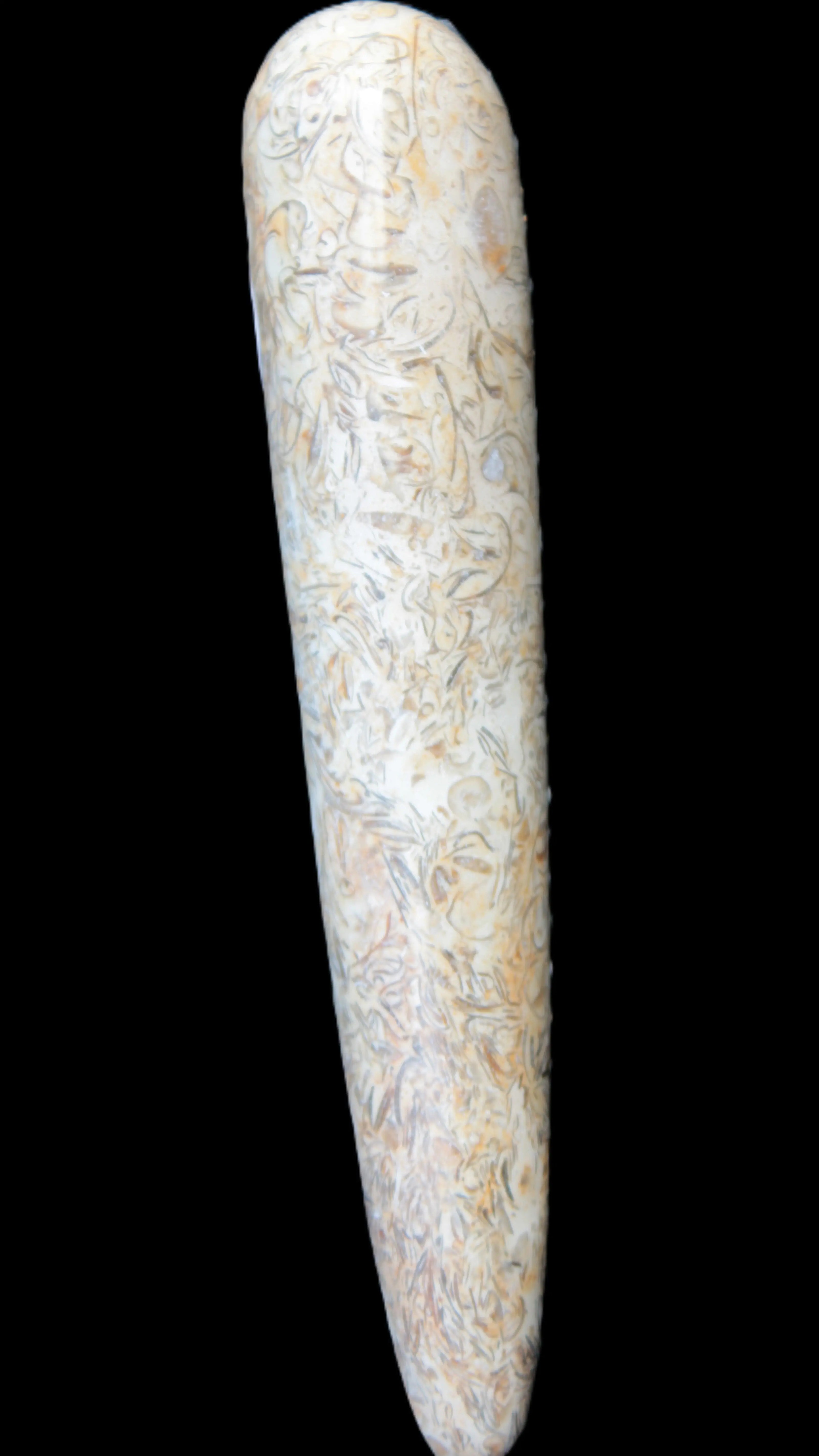 Dinosaur Bone Fossil massage wand from Madagascar 135/156g Rocks and Things