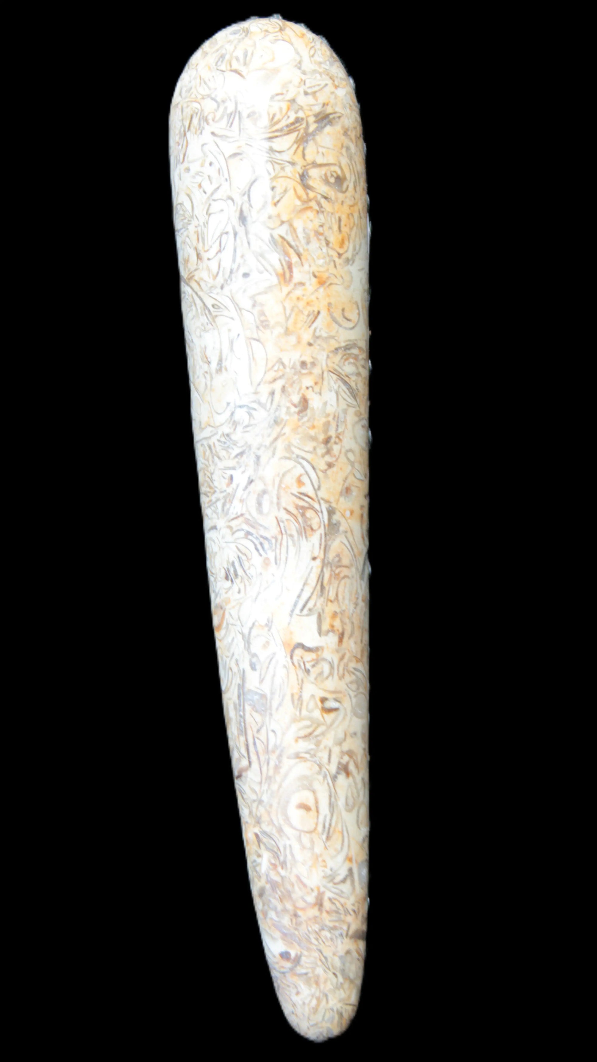 Dinosaur Bone Fossil massage wand from Madagascar 135/156g Rocks and Things