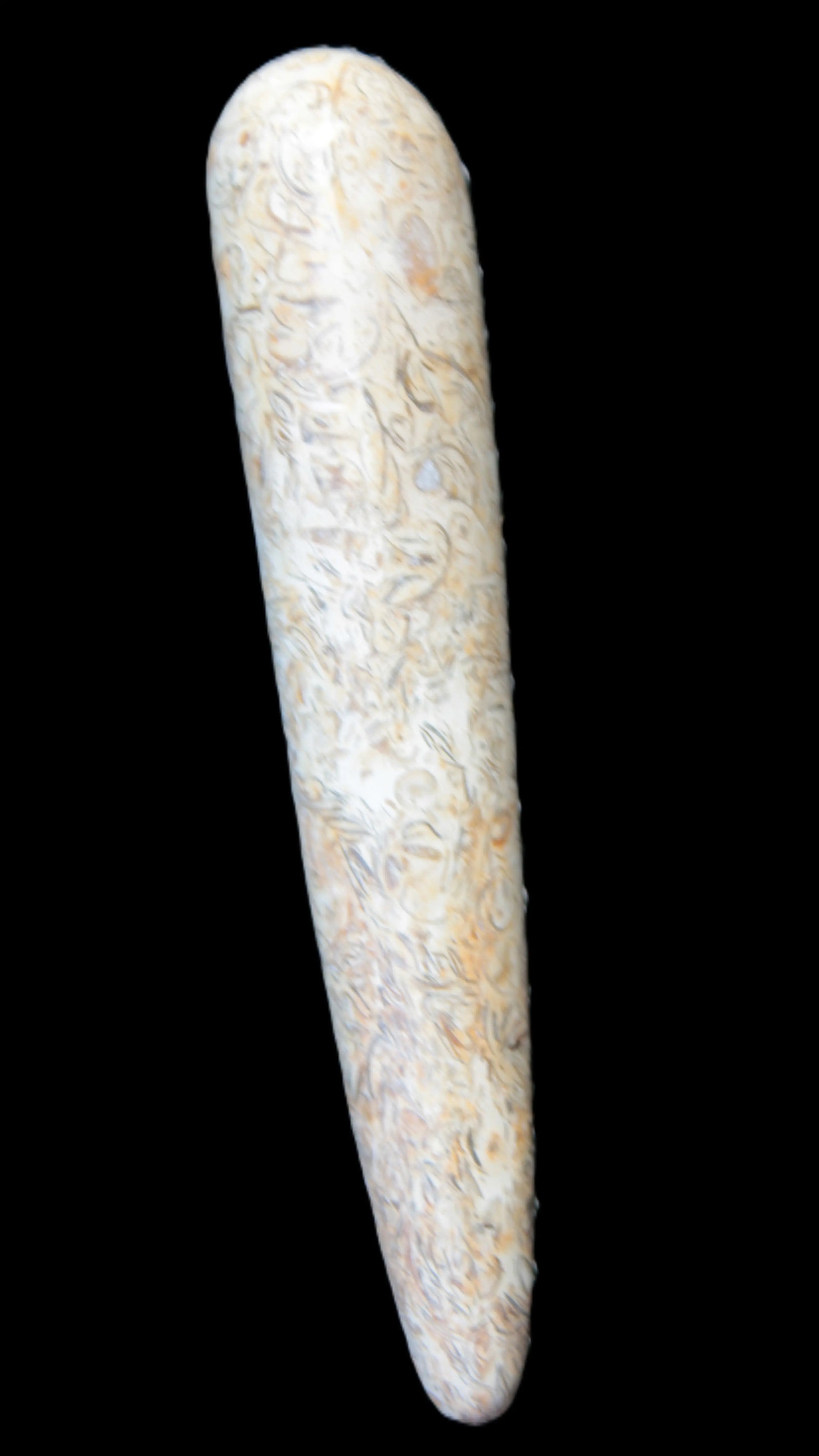 Dinosaur Bone Fossil massage wand from Madagascar 135/156g Rocks and Things