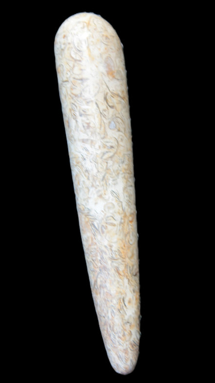 Dinosaur Bone Fossil massage wand from Madagascar 135/156g Rocks and Things