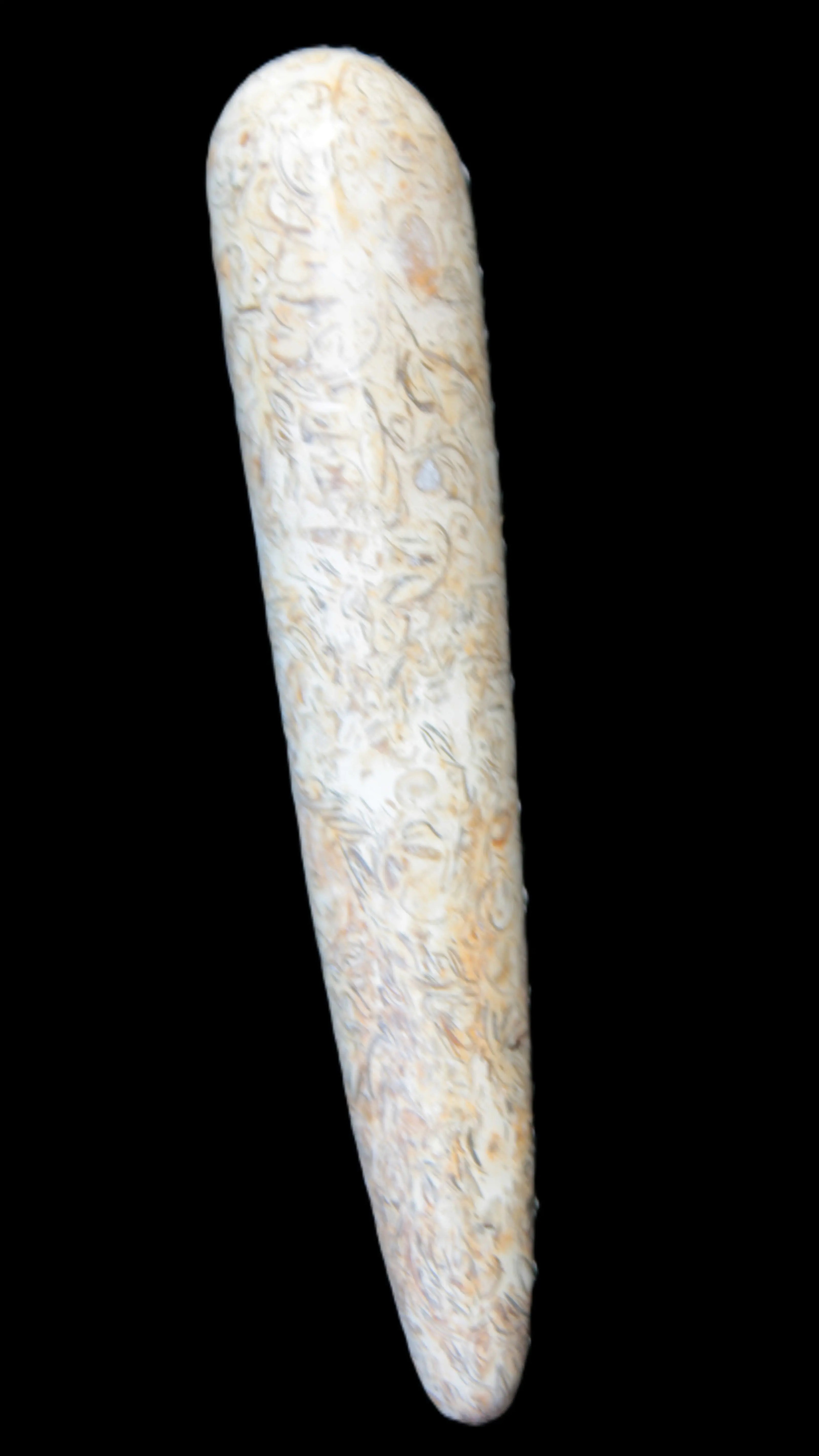 Dinosaur Bone Fossil massage wand from Madagascar 135/156g Rocks and Things
