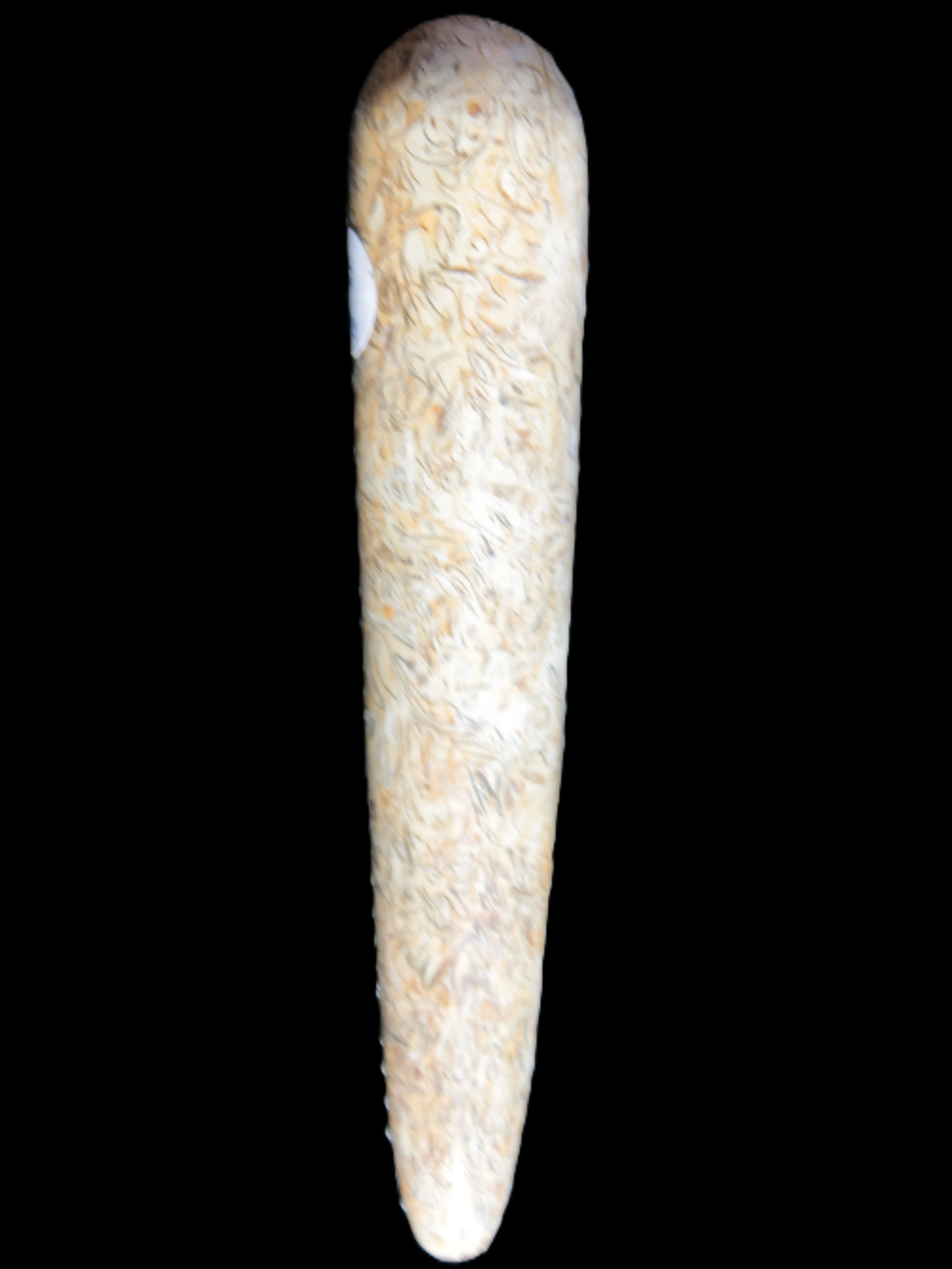 Dinosaur Bone Fossil massage wand from Madagascar 135/156g Rocks and Things