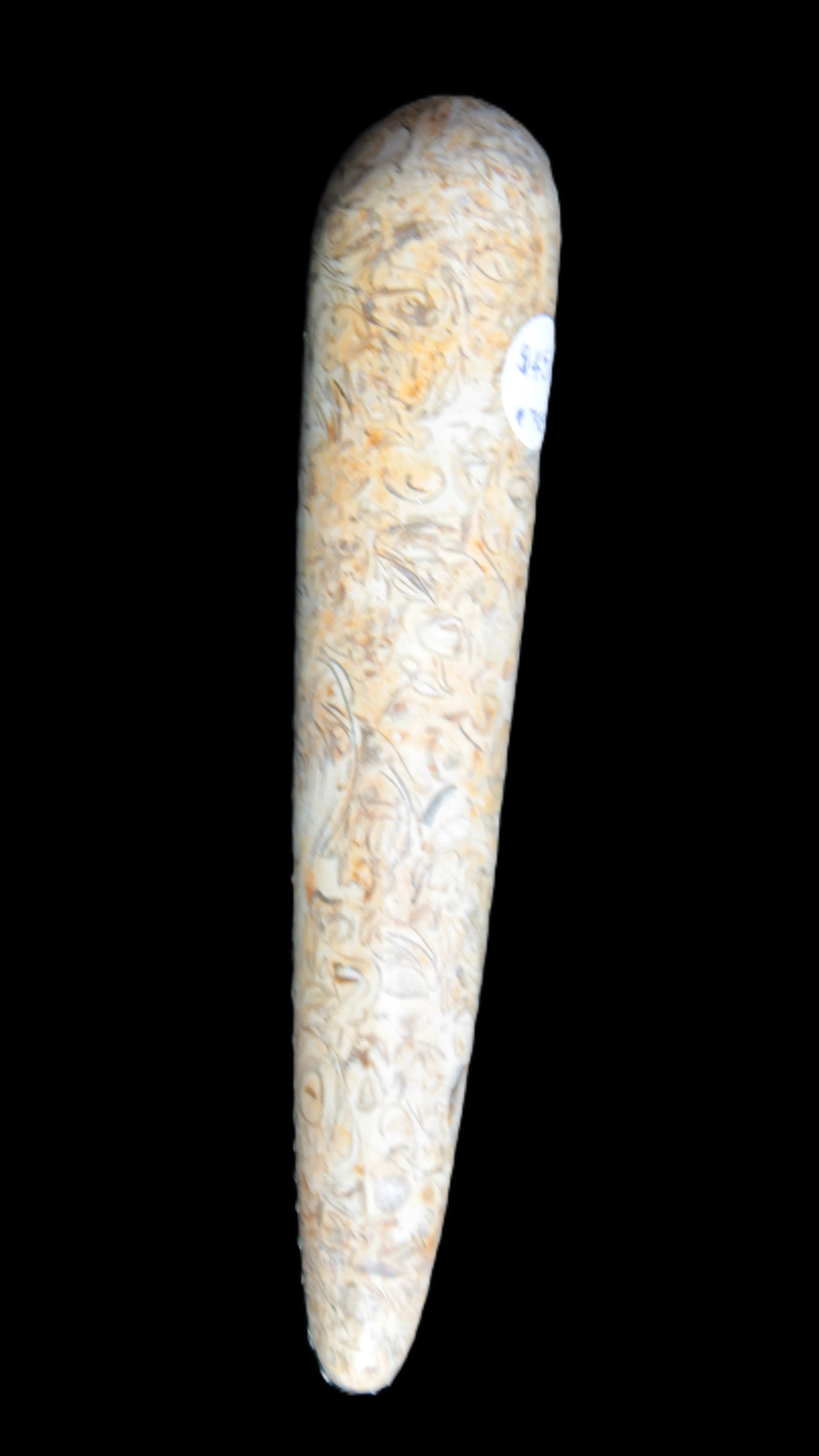 Dinosaur Bone Fossil massage wand from Madagascar 135/156g Rocks and Things