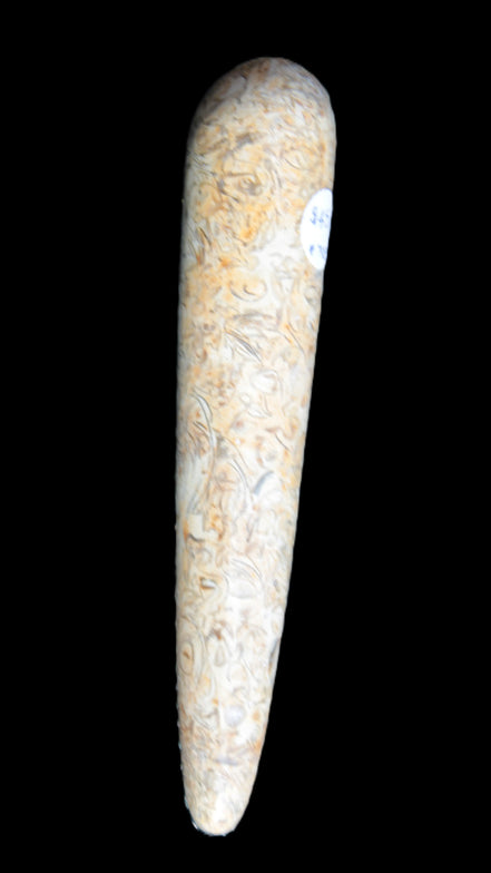 Dinosaur Bone Fossil massage wand from Madagascar 135/156g Rocks and Things
