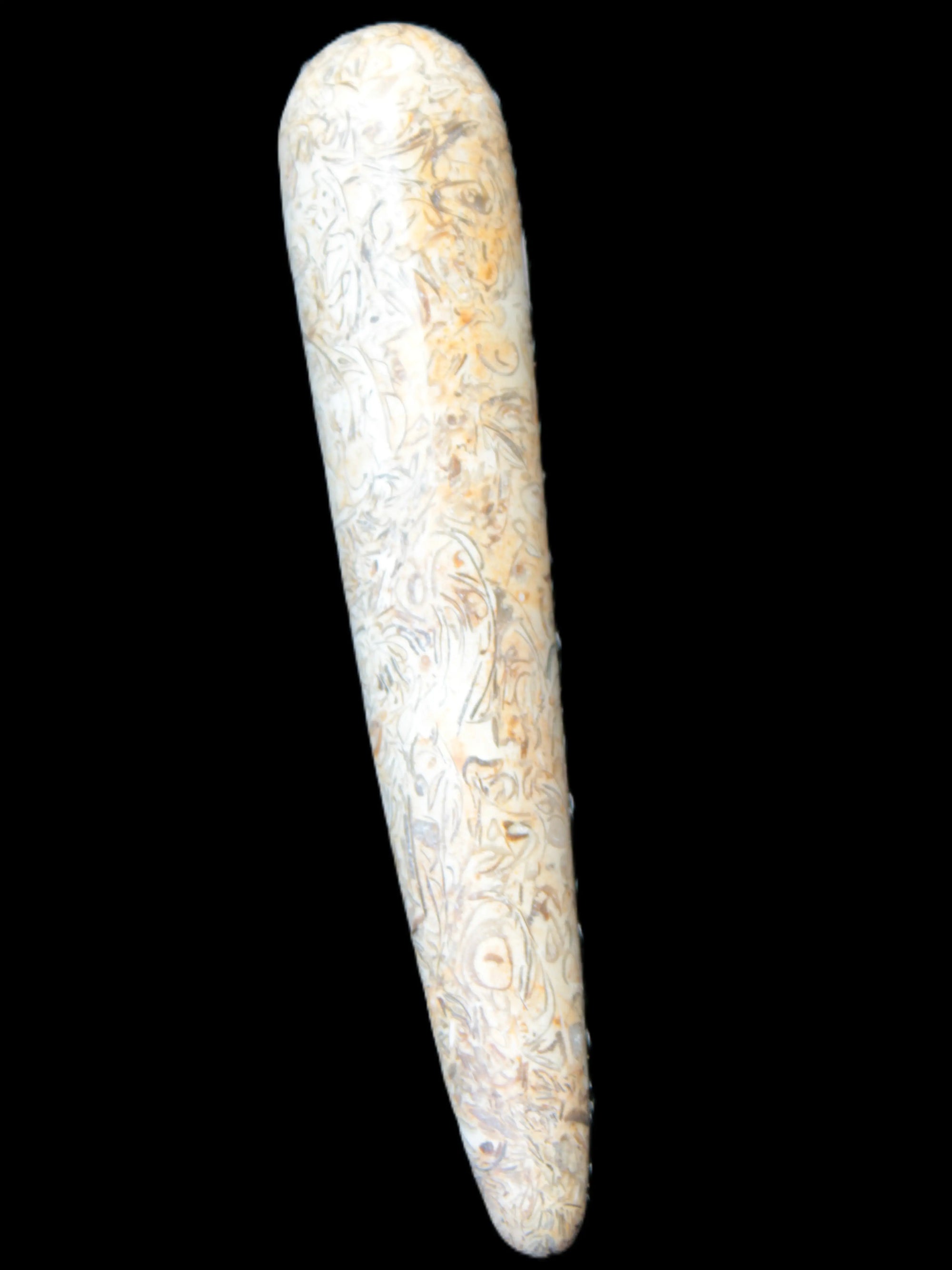 Dinosaur Bone Fossil massage wand from Madagascar 135/156g Rocks and Things