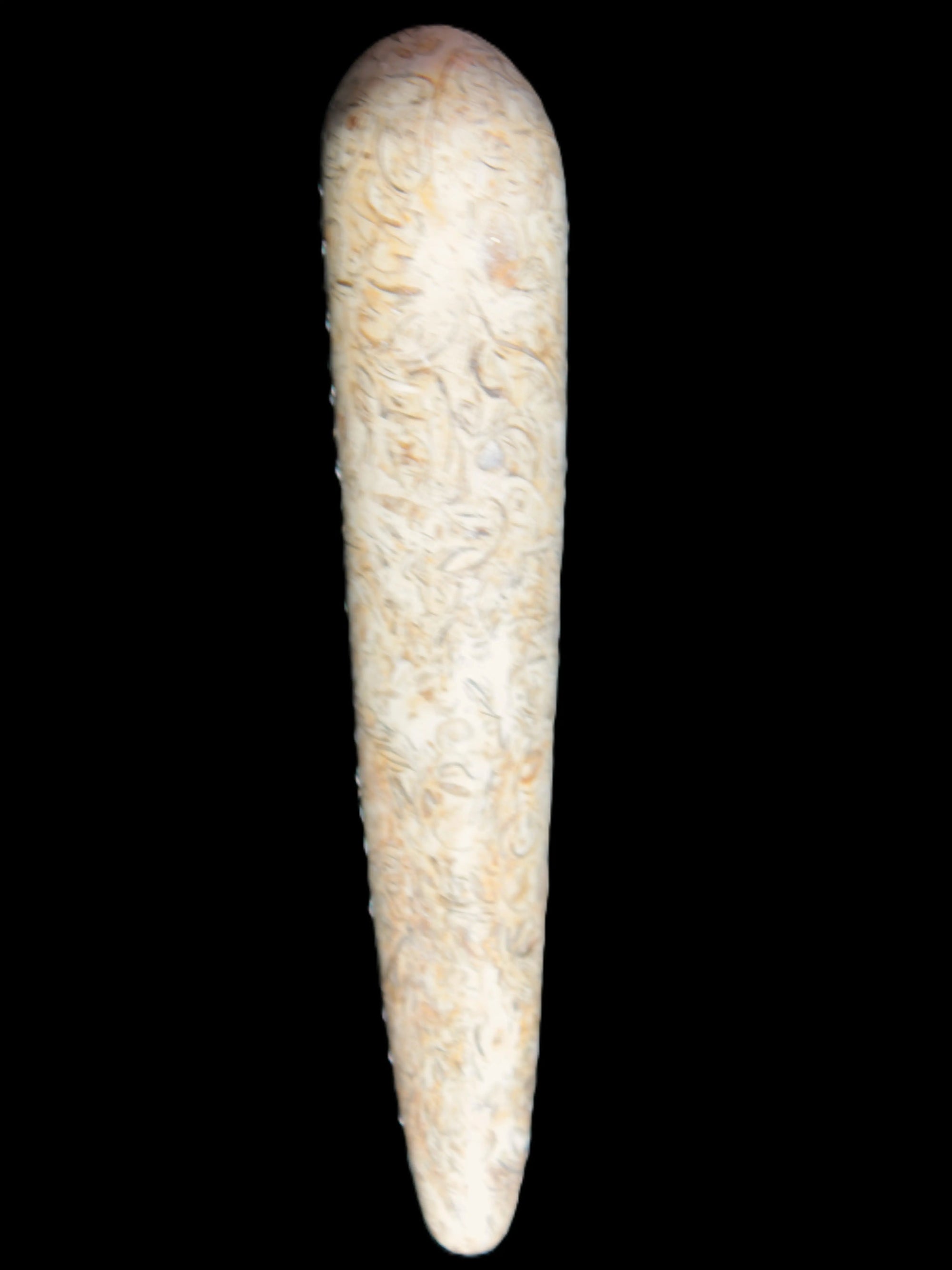 Dinosaur Bone Fossil massage wand from Madagascar 135/156g Rocks and Things