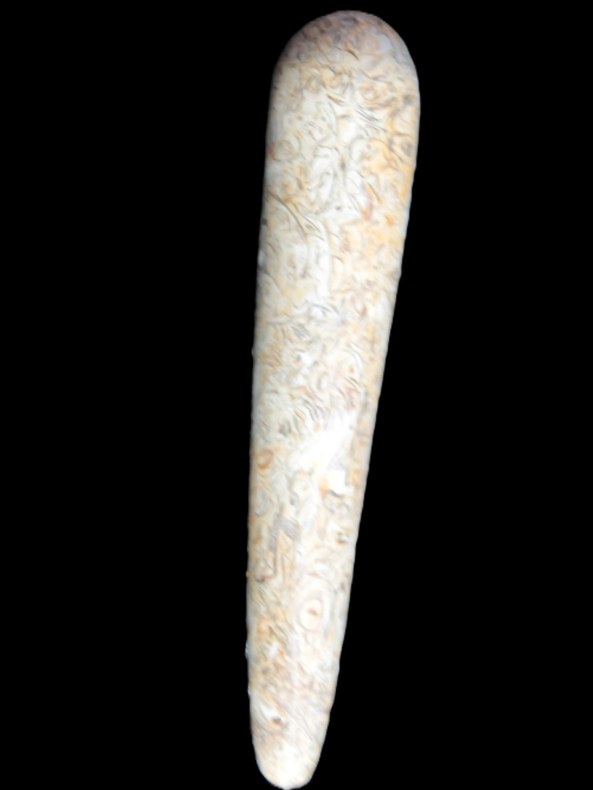 Dinosaur Bone Fossil massage wand from Madagascar 135/156g Rocks and Things