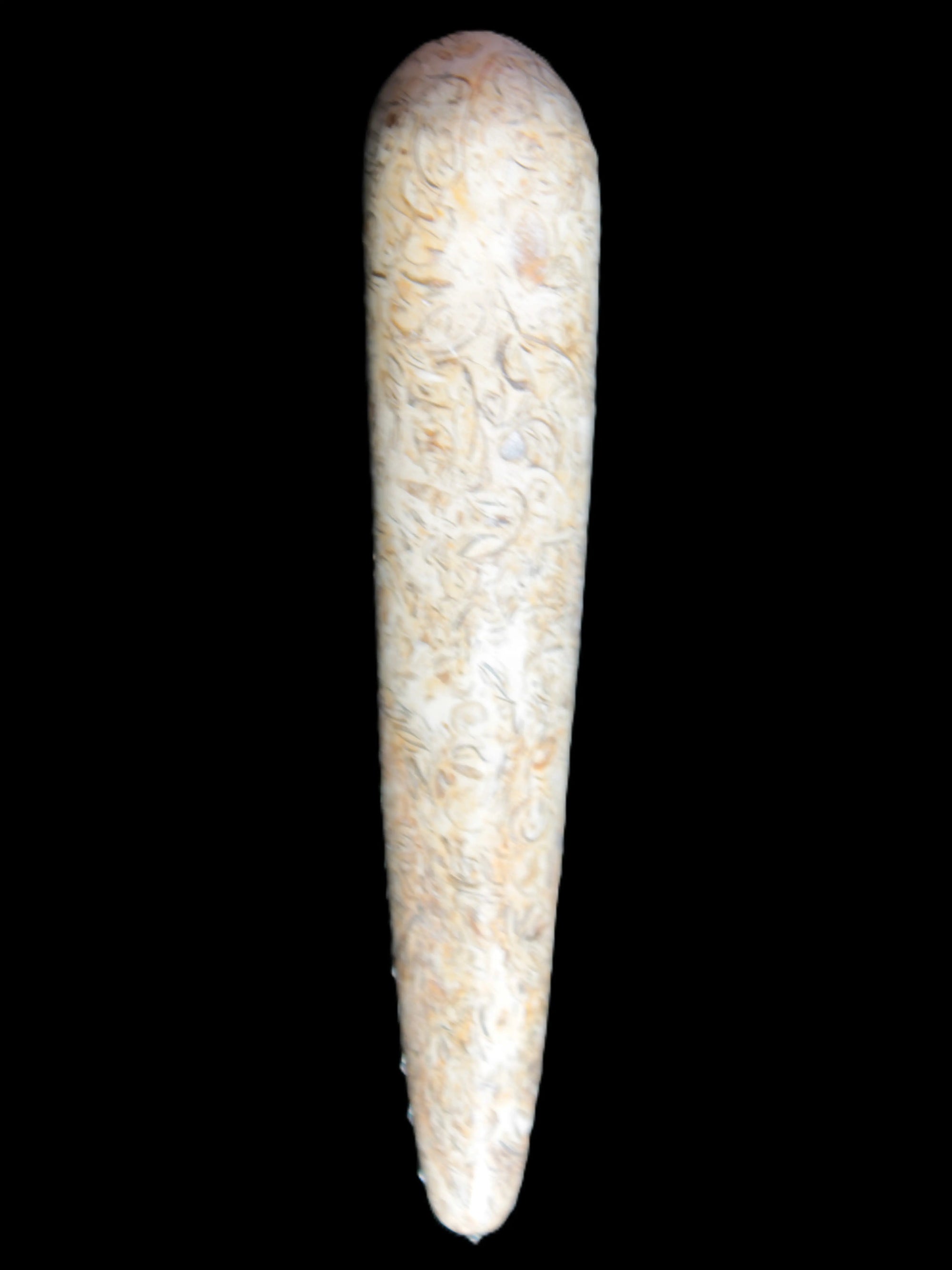 Dinosaur Bone Fossil massage wand from Madagascar 135/156g Rocks and Things