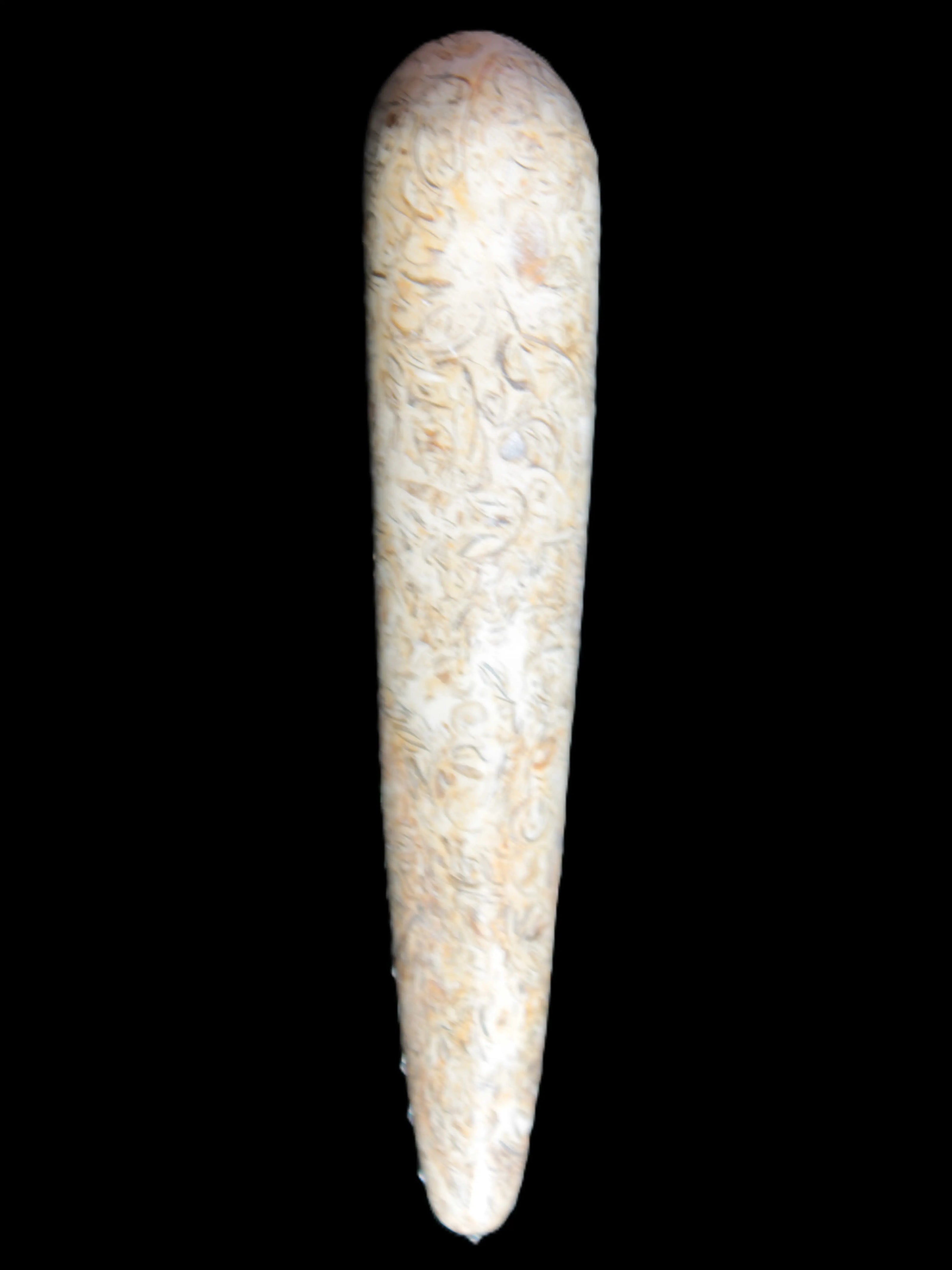 Dinosaur Bone Fossil massage wand from Madagascar 135/156g Rocks and Things