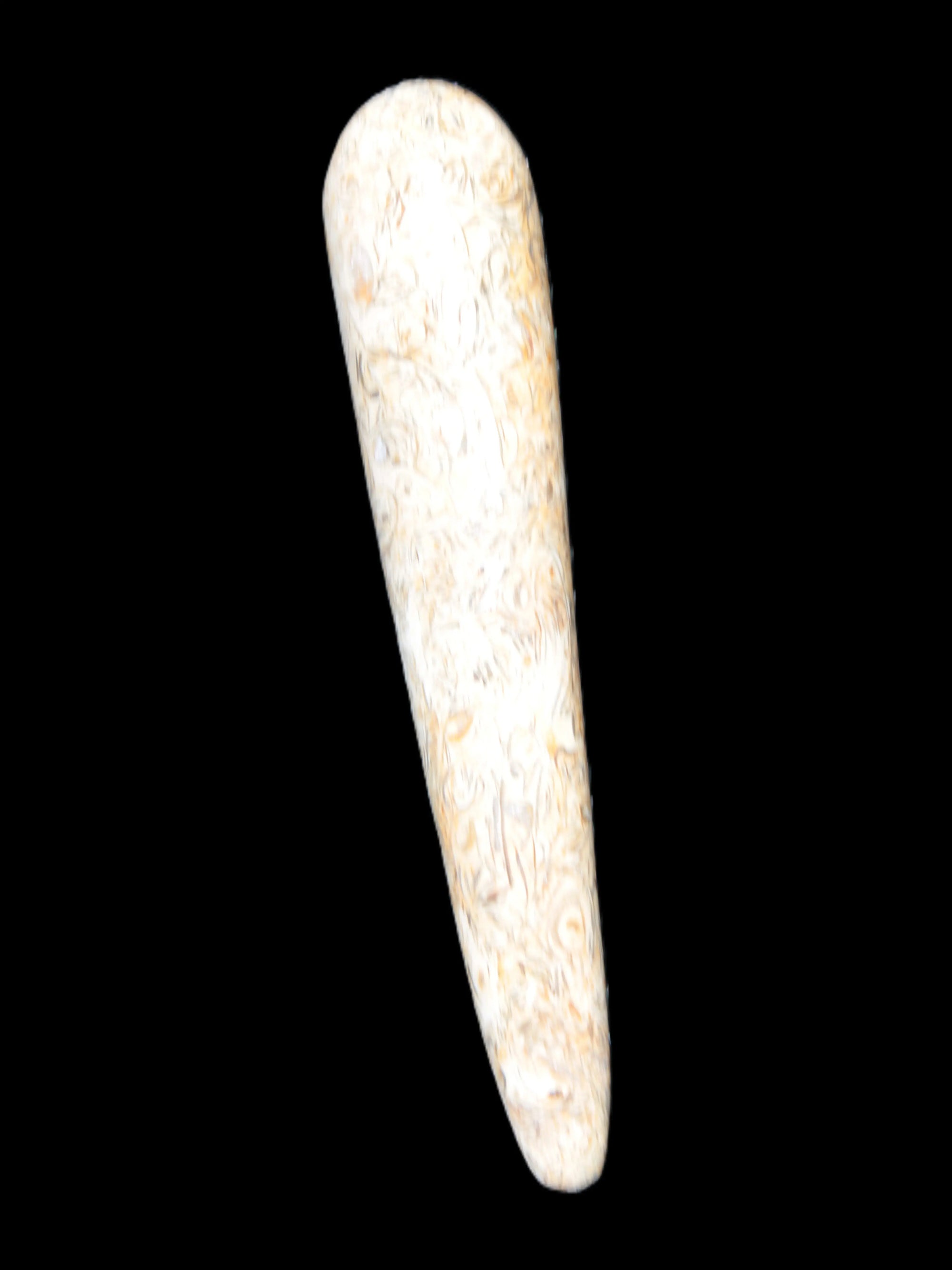 Dinosaur Bone Fossil massage wand from Madagascar 135/156g Rocks and Things