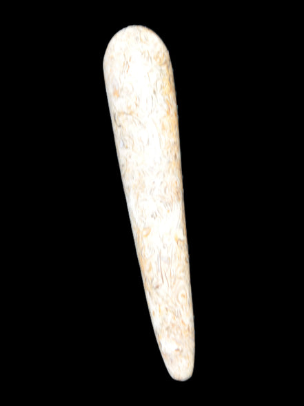 Dinosaur Bone Fossil massage wand from Madagascar 135/156g Rocks and Things