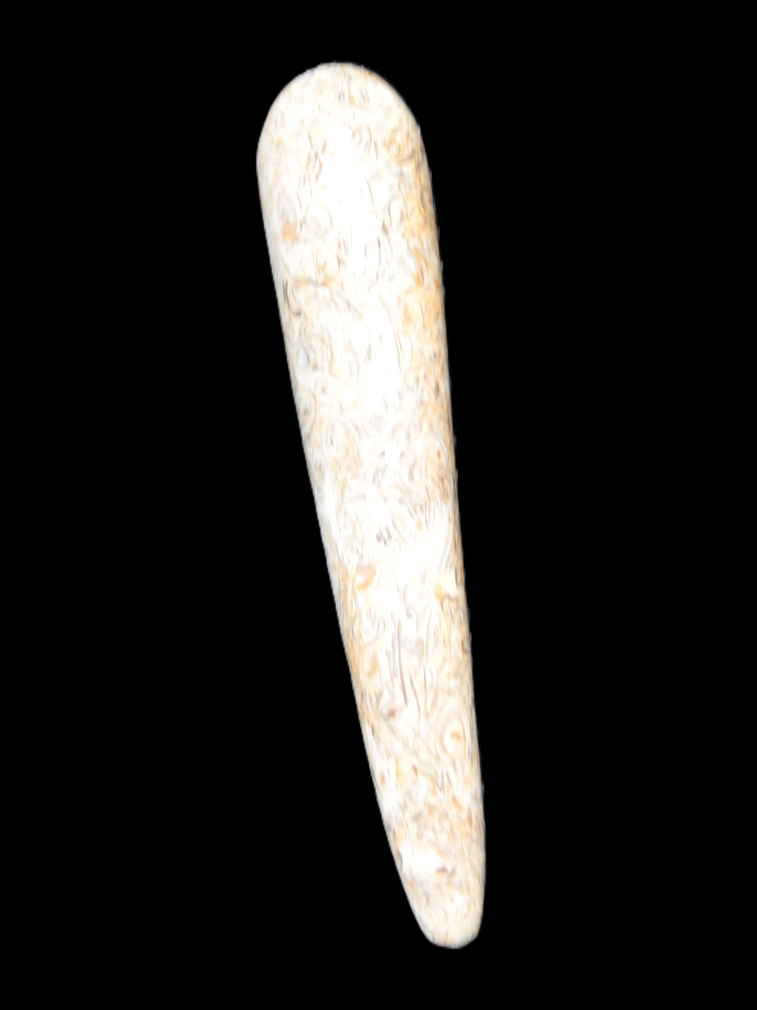 Dinosaur Bone Fossil massage wand from Madagascar 135/156g Rocks and Things