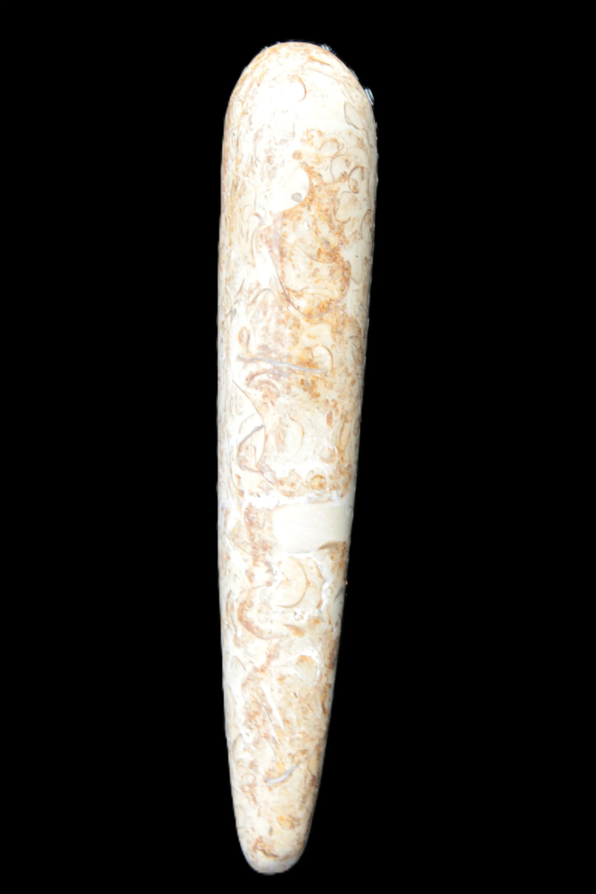 Dinosaur Bone Fossil massage wand from Madagascar 135/156g Rocks and Things