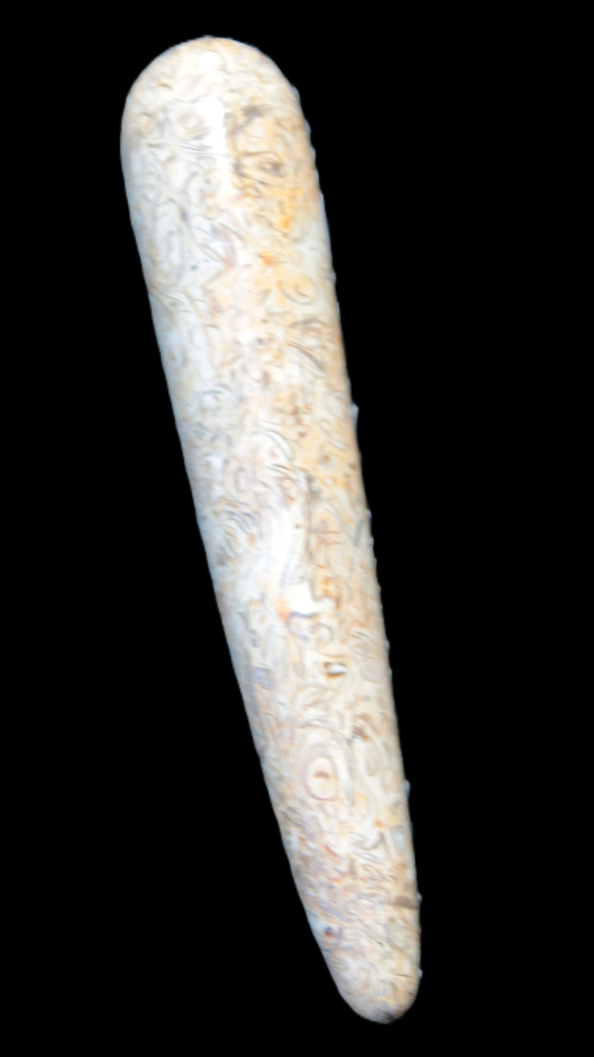Dinosaur Bone Fossil massage wand from Madagascar 135/156g Rocks and Things