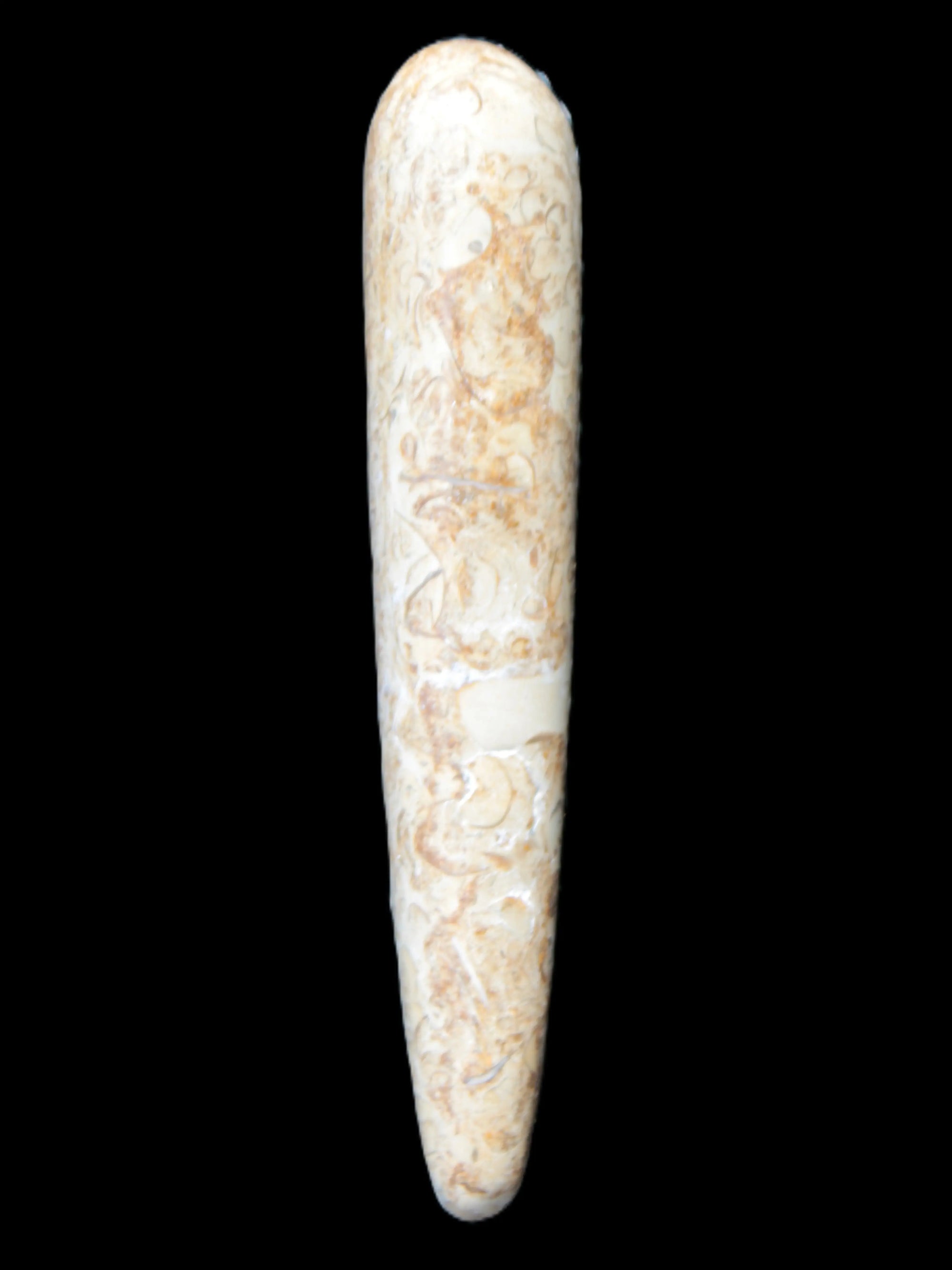 Dinosaur Bone Fossil massage wand from Madagascar 135/156g Rocks and Things