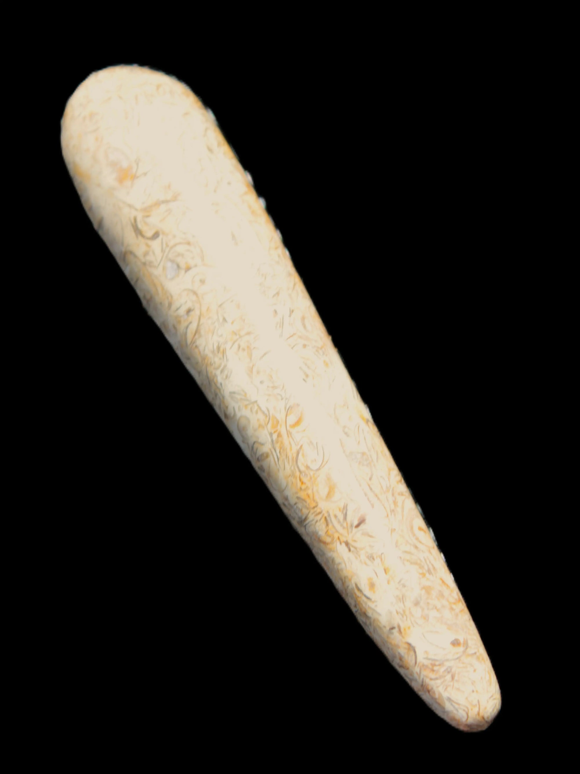Dinosaur Bone Fossil massage wand from Madagascar 135/156g Rocks and Things