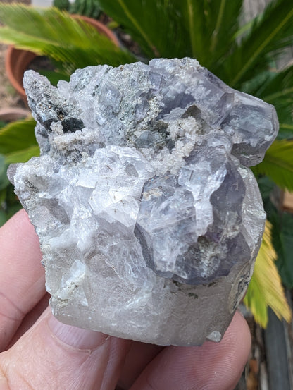 Calcite with Purple Fluorite cluster 103g Rocks and Things