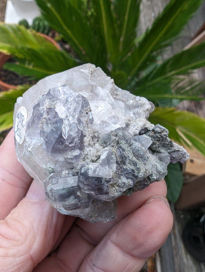 Calcite with Purple Fluorite cluster 103g Rocks and Things