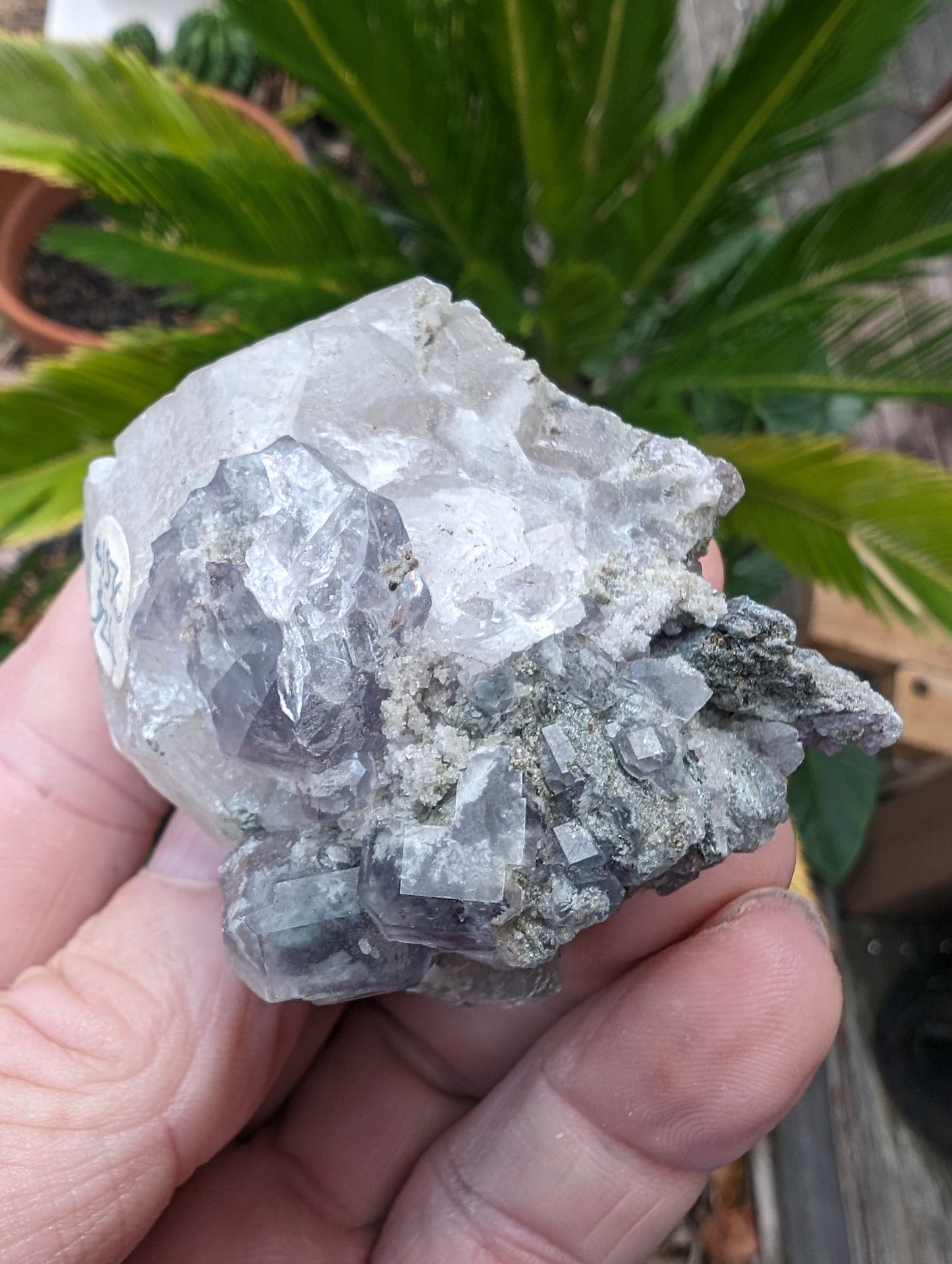 Calcite with Purple Fluorite cluster 103g Rocks and Things