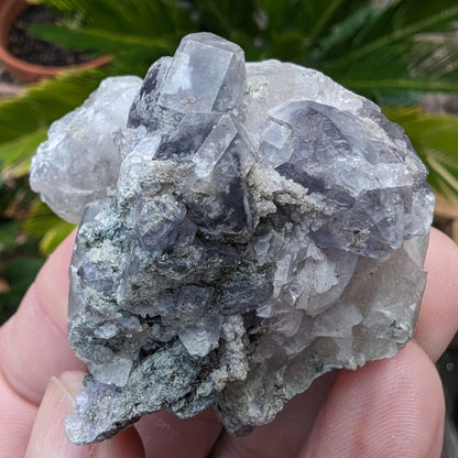 Calcite with Purple Fluorite cluster 103g Rocks and Things