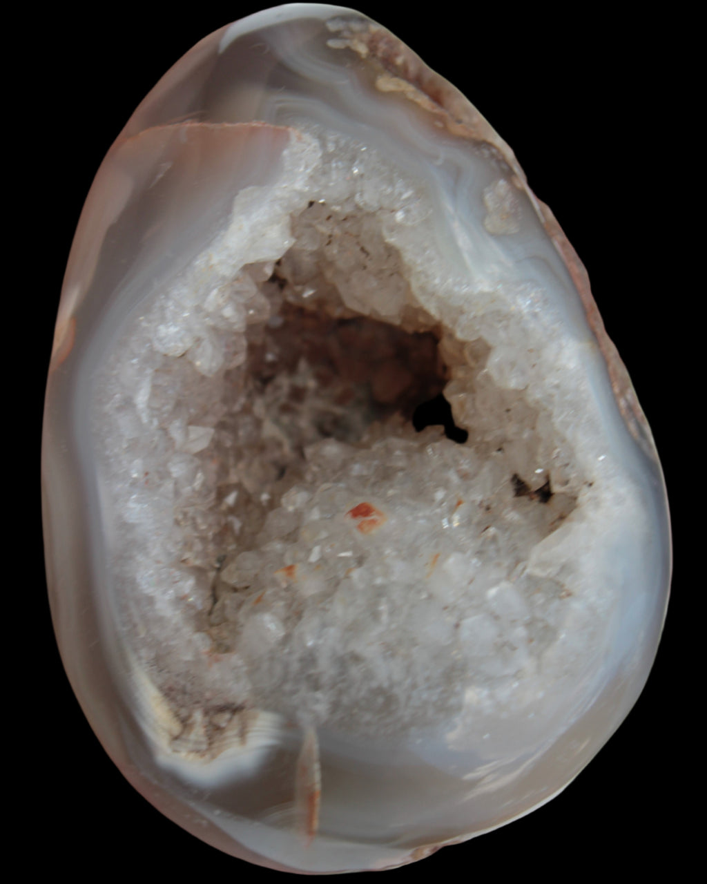 Agate geode 222g Rocks and Things