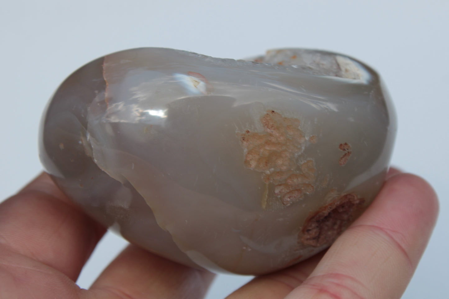 Agate geode 222g Rocks and Things