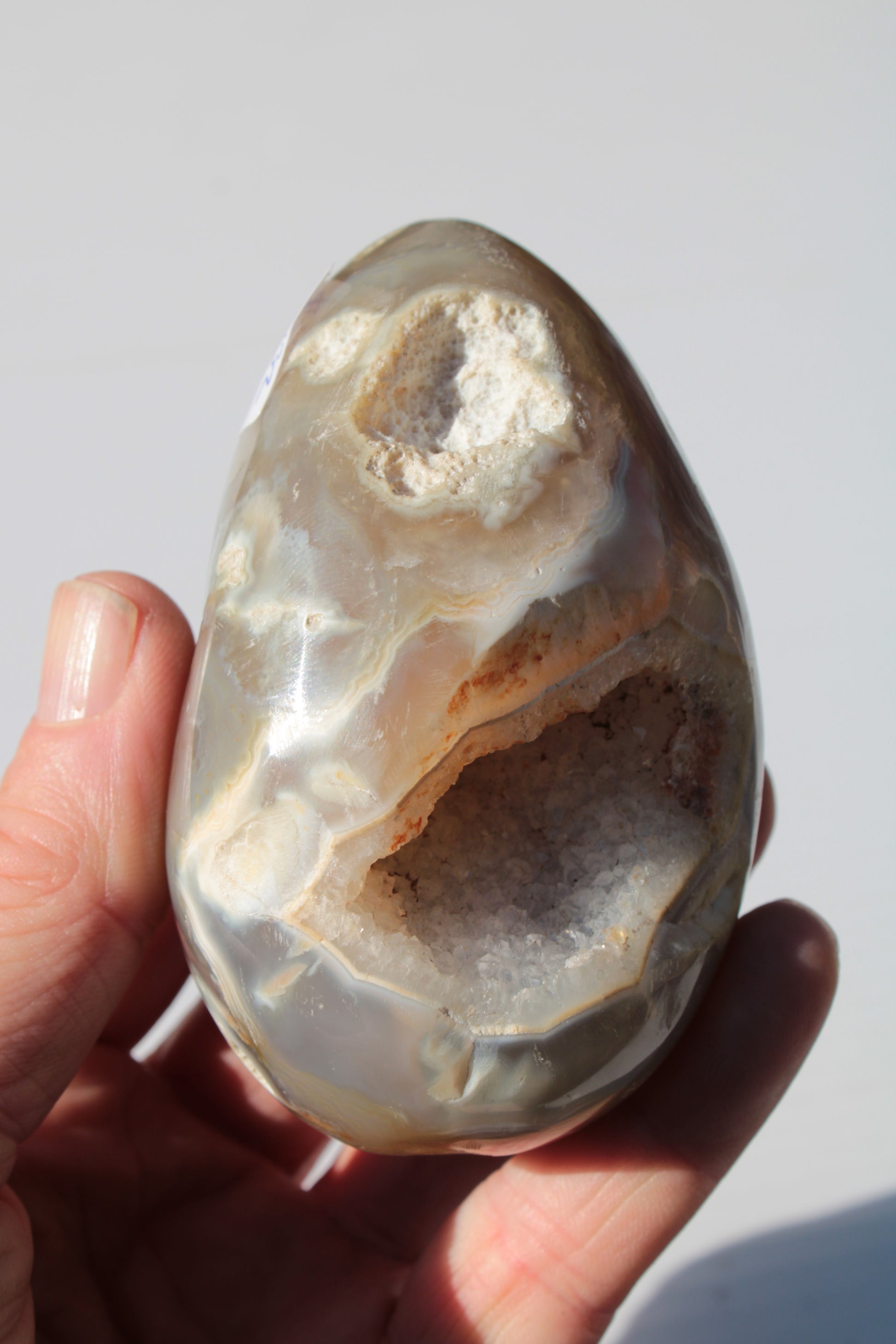 Agate geode 307g Rocks and Things