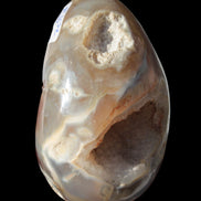 Agate geode 307g - Rocks and Things Store
