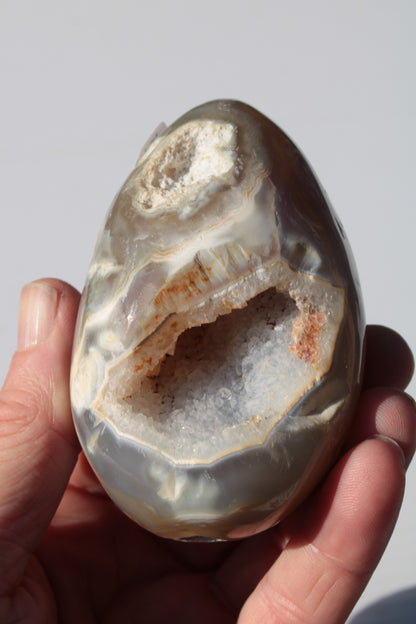 Agate geode 307g Rocks and Things