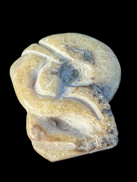 Ammonite, carved tentacle Douvilleice fossil from Madagascar 107g Rocks and Things