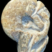 Ammonite, carved tentacle Douvilleice fossil from Madagascar 107g Rocks and Things